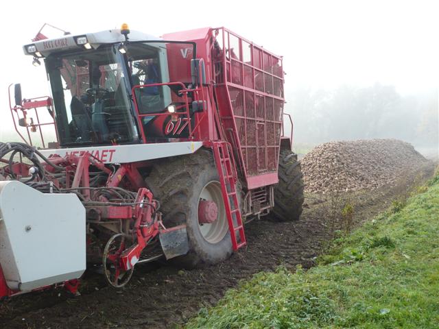 Bieten Rooien(3)