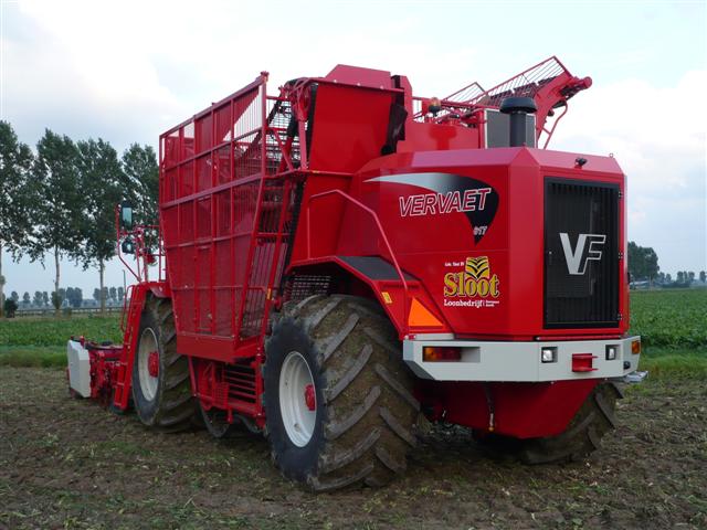 Bieten Rooien