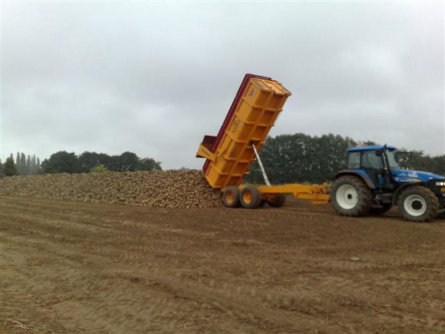 Bieten Transport (2)