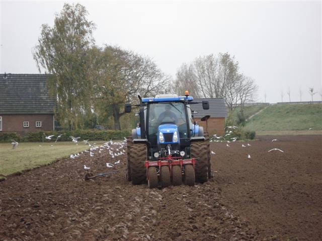 Tarwe zaaien