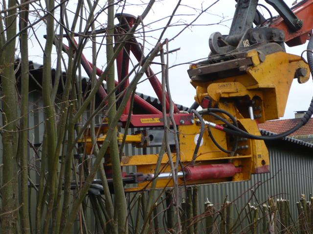 heg knippen(2)