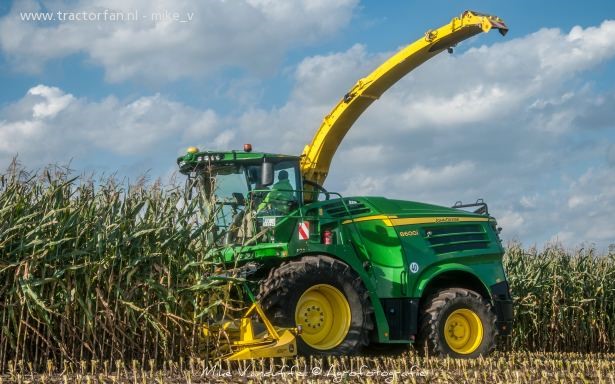 JD 84001(2)