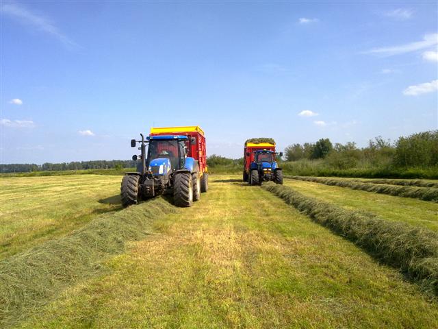 Grasoogst(1)