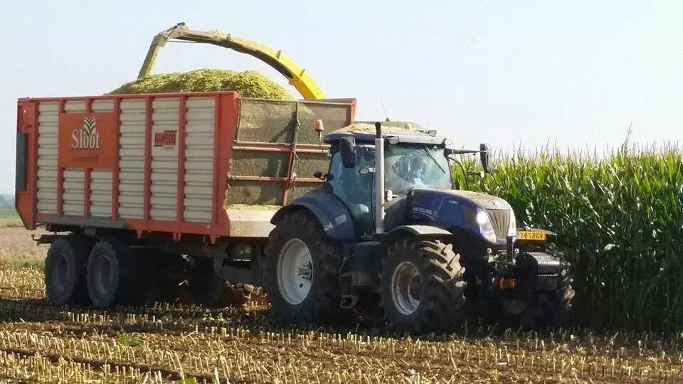 Mais Transport (3)