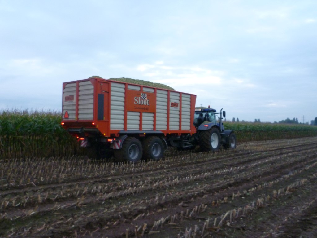 Mais Transport (4)