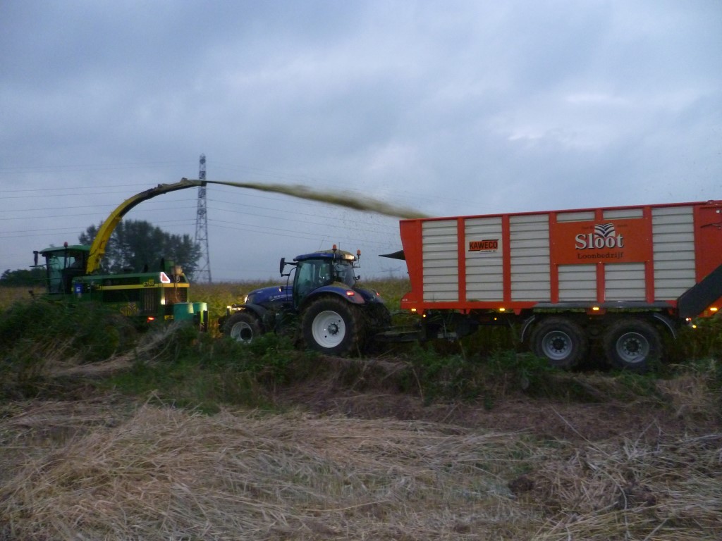 Mais Transport (5)
